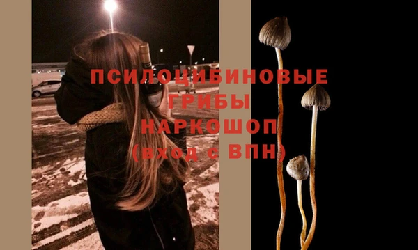 каннабис Беломорск