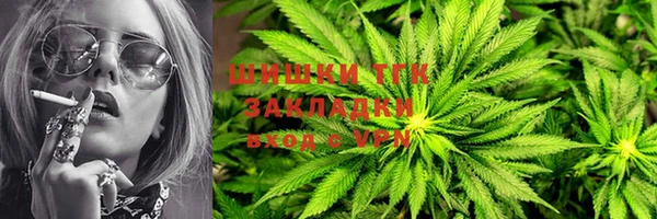 ГАЛЛЮЦИНОГЕННЫЕ ГРИБЫ Белокуриха