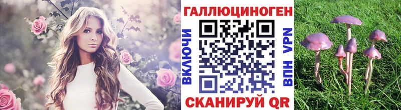 Псилоцибиновые грибы Psilocybine cubensis  Кыштым 